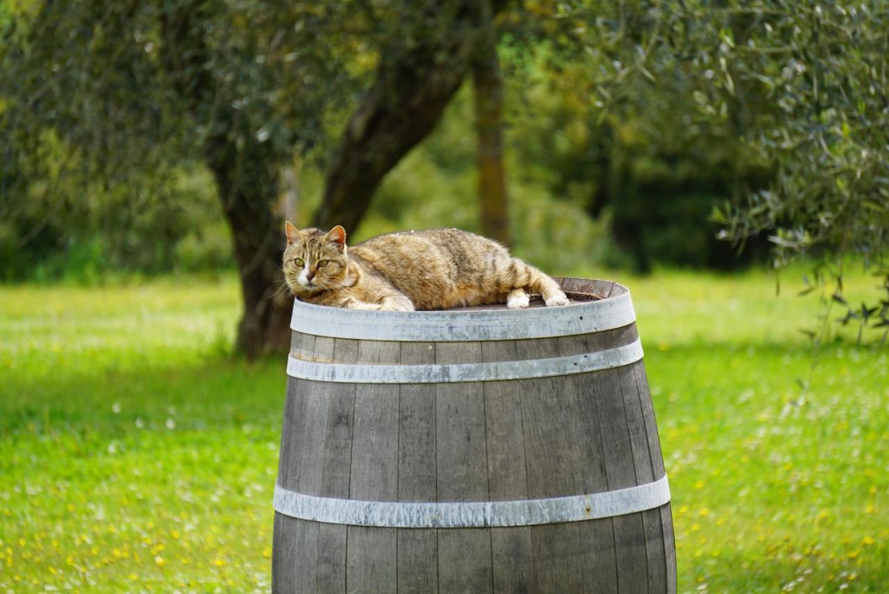 Fattoria Lornano Winery Villa Monteriggioni Exterior photo