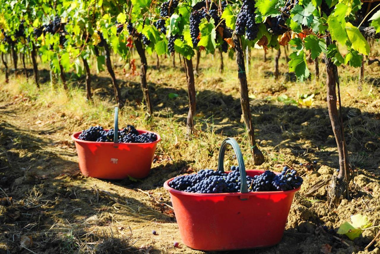 Fattoria Lornano Winery Villa Monteriggioni Exterior photo